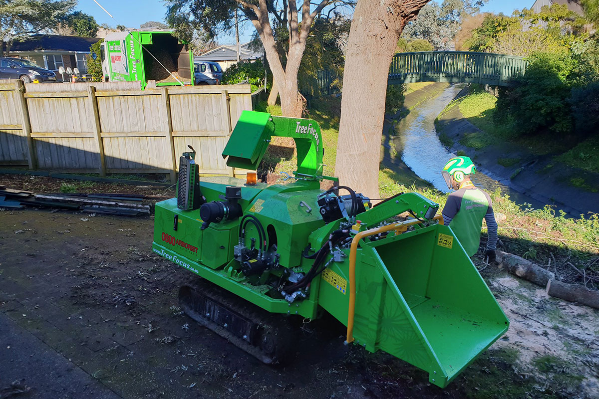 Tree Focus operator using a tracked chipper beside a tree